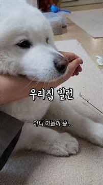 우리집 빌런