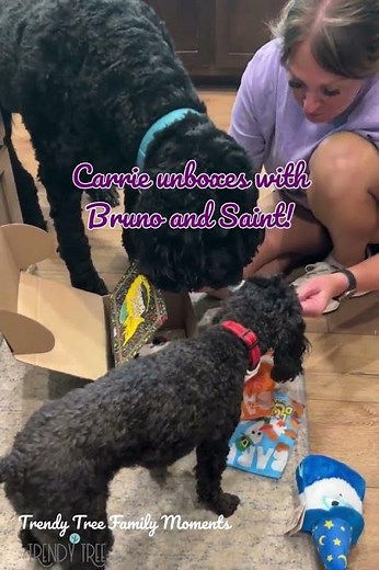 The Trendy Tree Dogs!