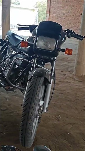 Splendor #short cat cat video editing cutout