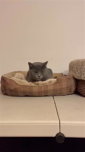 Matt Holmes on Reels