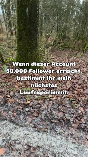 Annette | Laufcoach | Ausdauertraining | Marathon & Halbmarathon on Instagram: "Dieser Account wächst nicht wegen Bestzeiten. Sondern wegen Austausch, Ehrlichkeit und echtem Laufleben. Ich laufe seit vielen Jahren – als Lauftrainerin, Ausdauercoach und Mentaltrainerin – aber genau deshalb weiß ich: Manchmal entstehen die spannendsten Trainingsimpulse nicht im Plan, sondern im Dialog. Deshalb drehe ich den Spieß jetzt um: Wenn dieser Account die 50.000 Follower erreicht, kommt mein nächstes Laufe