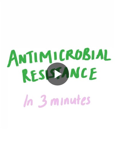 Have you ever wondered why infections can be so deadly, even with proper treatment? The answer is AMR, antimicrobial resistance! This happens when microorganisms (bacteria, viruses, fungi, and… | Hannah Kim