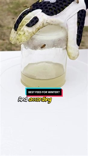 🐝 What’s the best Winter feed for your hive!?👇 Here’s a preview from Episode 4 in our Primal Bee Apiary series, when we covered best practices for winter / late winter feeding. Check out the full process over on YouTube, linked below low and on our profile. 👉 https://youtu.be/dxFeslCh0rM?si=SRLa9_hXfzAoJiSc #beehive #beekeeping #beekeepers #beehives #dıy