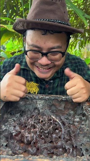ASMR Rare Golden Stingless Bee Honey Drinking - 50 🐝 🍯 #shorts
