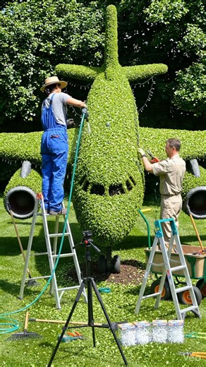 ✈️🌿 From Empty Lawn to INSANE Airplane Topiary 🤯✨ #satisfying #relaxing #topiary