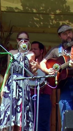 Hillbilly Biscuits Perform An Amazing Live Bluegrass Cover