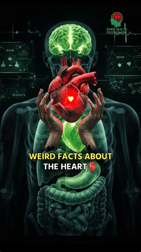 Dark Health Psychology ☘️ on Instagram: "Weird Facts About the Heart 🫀 Your heart isn't just a pump - it reacts, remembers, and responds to your mind and emotions. . . #heart #health #healthylifestyle"