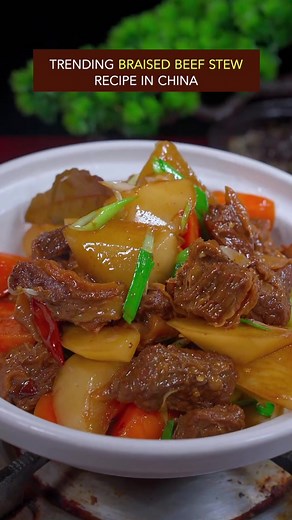 Authentic Chinese Style Braised Beef Stew with Daikon Recipe