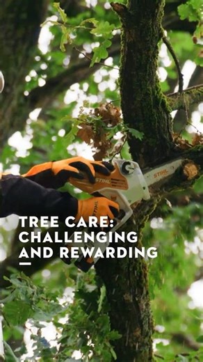 High-altitude tree care with precision: Dietz Treecare 🌲🧗‍♂️| STIHL A Day With​​