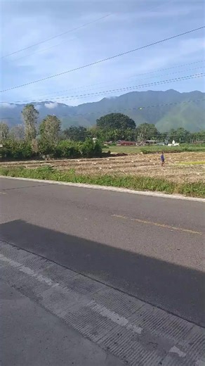 logo ni Ari Torus #fyp