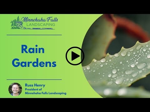 Rain Gardens | Minnehaha Falls Landscaping