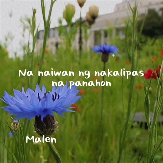 Awit ko saiyo♥️ Advance Happy Valentines to all♥️♥️♥️ | Malen