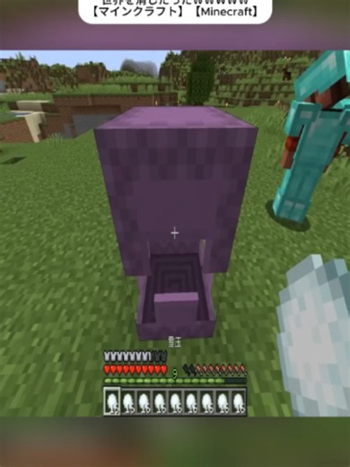 【マイクラ】イキリ小学生に家を破壊されたので「爆裂魔法チート」を使って世界を消したったｗｗｗｗｗ【マ - 008