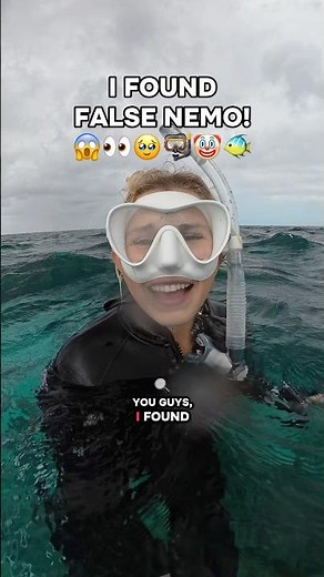 This is a “False Nemo” 🤡🐠