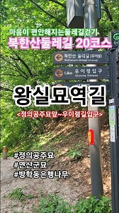 [6월의 왕실묘역길]👑 북한산둘레길 20코스🟣 #마음이편안해지는둘레길 #걷기다이어리둘레길해설여행 #방학동은행나무 #연산군묘 #정의공주묘