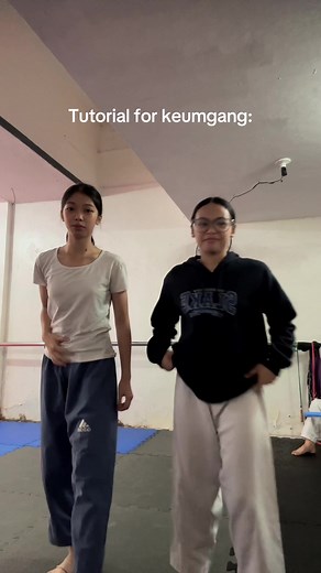 Keumgang Poomsae Taekwondo Tutorial
