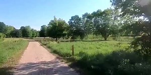 Exploring the Arboretum at Gustavus Adolphus College