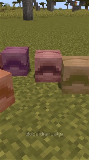wally on Instagram: "how to use armadillos w/ farm #minecraft #minecraftmemes #minecraftbuilds"