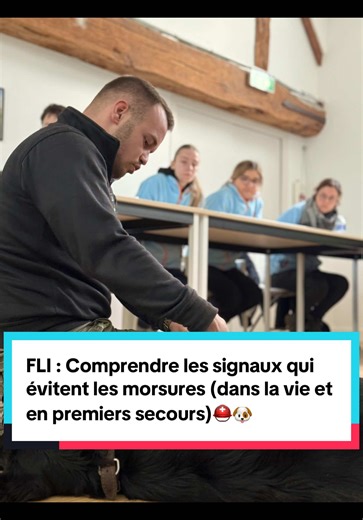 FLI : Signaux pour éviter les morsures en premiers secours