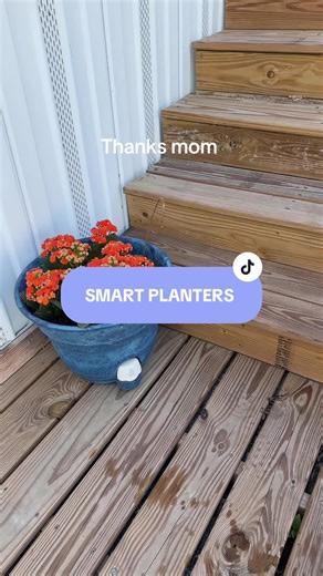 @QVC, Inc smart planters price is too good to pass up #smartplanter #gardening