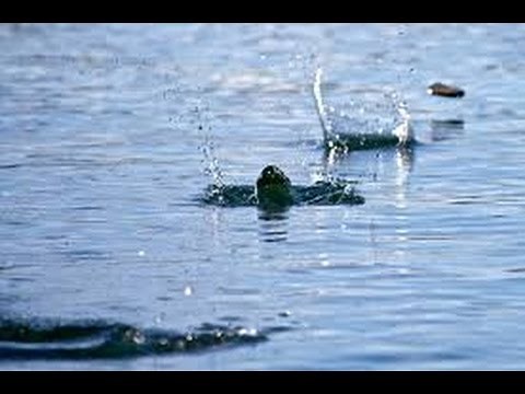 Rocks hitting water sound effect heavy splash sounds