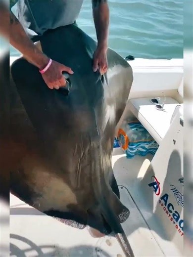 #status Fish asian #ytshorts #fishing #fishingshortvideo 🥹