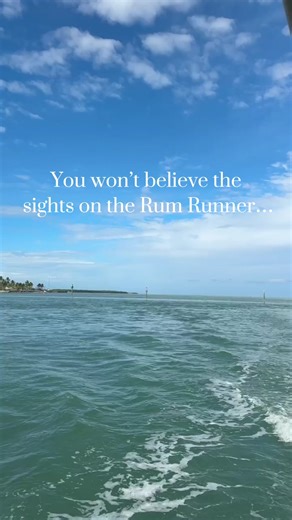 Hop on the Rum Runner, Islamorada’s One-of-a-Kind Water Taxi 🚤🌴 Cruise through the Florida Keys aboard the Rum Runner, our exclusive water taxi connecting all three of our resorts: Amara Cay, La Siesta, and Three Waters Resort & Marina. But it’s more than a ride, it’s a joyride through paradise. Pass by mangroves, dolphins, waterfront homes, the famous Toilet Seat Cut, and the iconic Islamorada sandbar. Spot wildlife, sip a drink, and soak in the best views in the Keys. 📍Now departing daily. 