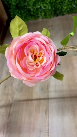 Pink Cabbage Rose W/ Bud ~ 24 Inch - Etsy