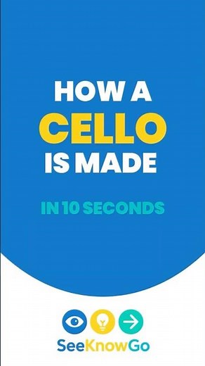 How Cellos Are Made in 10 Seconds | SeeKnowGo