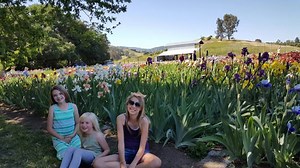 1.8K views · 72 reactions | It's going to be a beautiful weekend in...