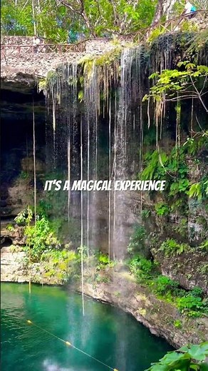 Cenote Saamal, Yucatan, Mexico #travel #mexico #nature