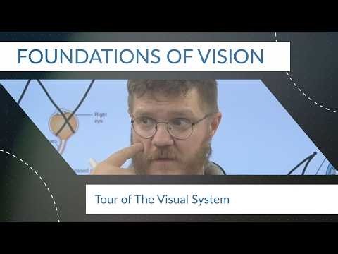 Foundations of Vision 5: Tour of the Visual System
