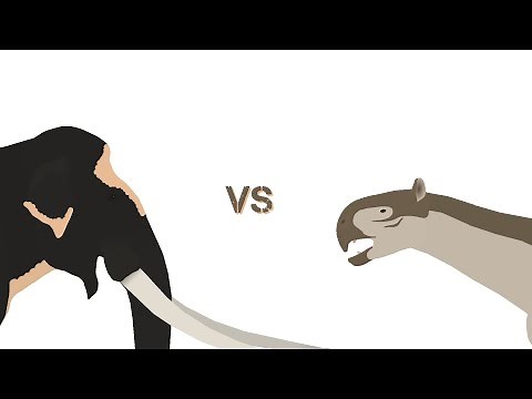 Palaeoloxodon namadicus VS Paraceratherium
