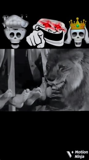 Sleeping Men vs Hungry Lion 😂 Try Not To Laugh #funnyvideo #funniestfailmoment #funnyfails