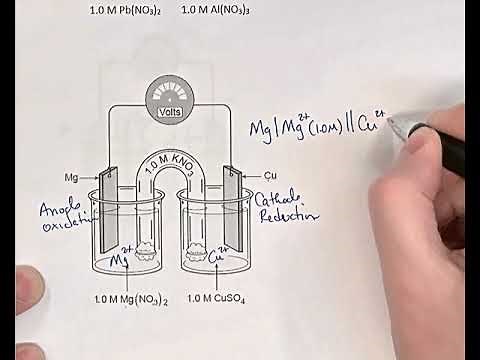 Chem 40S Line Notation Voltaic Cells