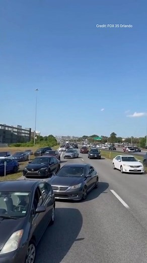 428K views · 5.3K reactions | HONKED OFF: Drivers headed to Disney World forced to slam on their brakes as 'Queers for Palestine' agitators block traffic on busy highway. The red state of Florida following through with its zero tolerance for blocking traffic, as the state's highway patrol deputies arrested the antisemitic group within 11 minutes. | Fox News | Facebook