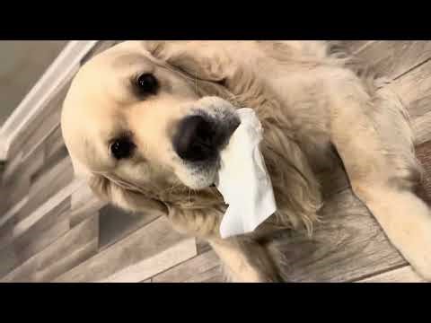 032326 Jazer CSAT Mission #W56-12