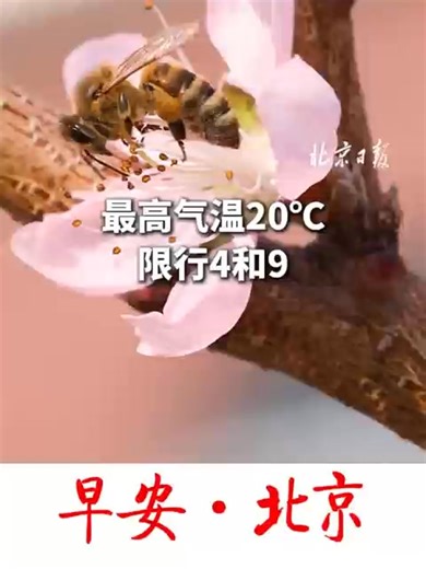 The weather in Beijing on Apr. 3 is forecasted to be cloudy. The temperature is expected to reach a high of 20℃ (68℉) and a low of 8℃ (46.4℉). | Beijing Evening News
