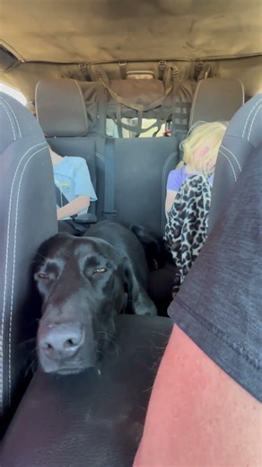 The ULTIMATE Sign of a Good Jeep Trail! 😴 (Kids & Dog Fast Asleep)
