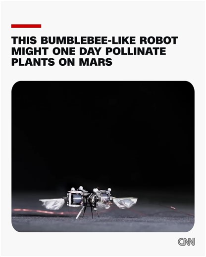 “We’re just trying to mimic these amazing maneuvers that bumblebees can achieve." A bee-like robot currently under development is part of a new generation of bots inspired by nature. The machine, which weighs less than a paperclip, can flap its wings up to 400 times a second and has achieved a maximum speed of 6.5 feet per second. It can also flip and hover. Researchers hope that it could someday help with tasks like artificial pollination – maybe even on other planets: https://cnn.it/41W0JrK | 