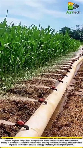 This Simple Irrigation System Saves Water & Boosts Crop Yield