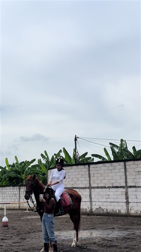Sapa mau foto sama kuda #fyp #rglstable #semarangstory #berkuda🐎🐎🐎🐎 #fypシ゚ #genuk #horse #semarangtiktok