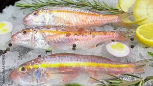 Red mullet is a sweet fish species and has high culinary value.