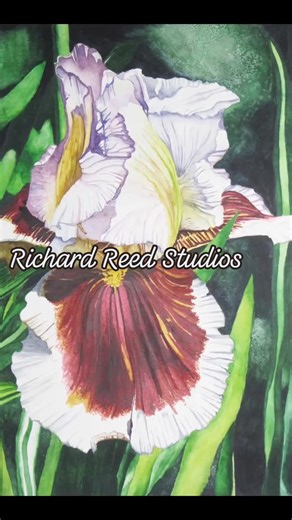 Richard Reed on Reels