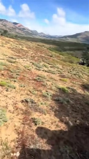 rolland (@rollandios) adlı kullanıcının orijinal ses - 90lar_unutulmaz ile oluşturduğu videoları