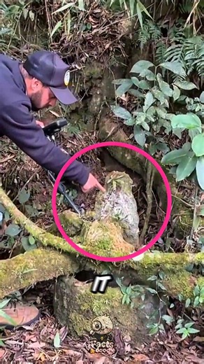 A Strange Symbol Led to an Unbelievable Discovery!