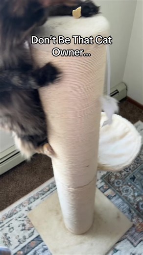 The Ultimate Cat Scratching Post for Happy Cats
