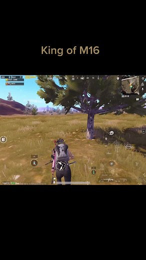 Mastering the M16 in PUBG Mobile: Tips and Strategies