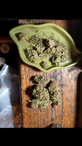 Matt Carroll on Reels