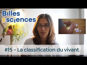 Science Bites #15: Aurélie Froger - The Classification of Living Things